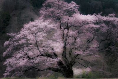  | 絶景事典