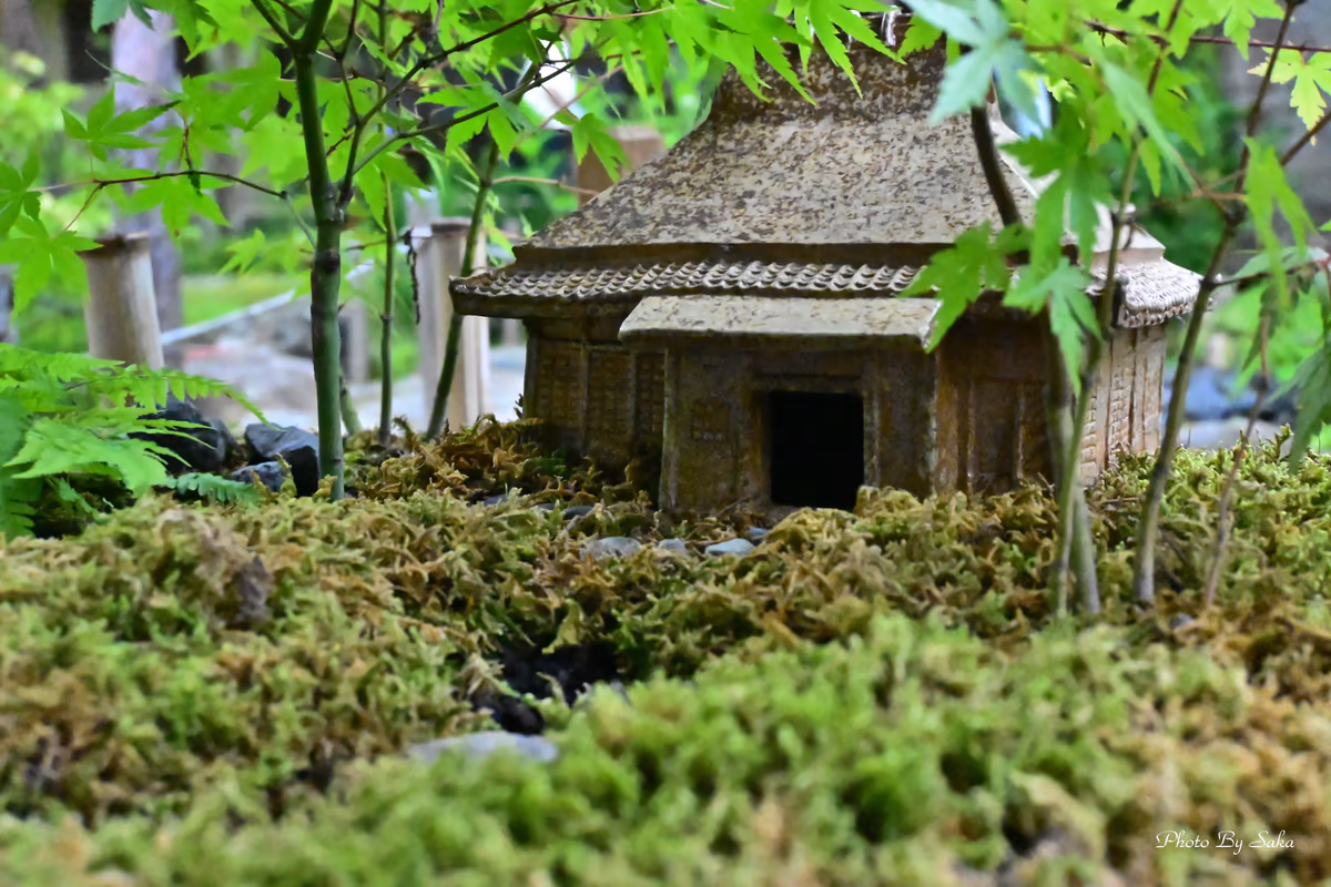 投稿写真：箱庭