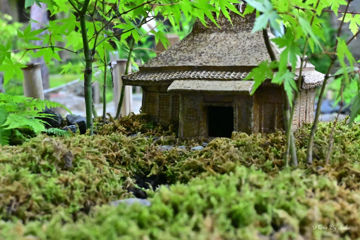 投稿写真：箱庭