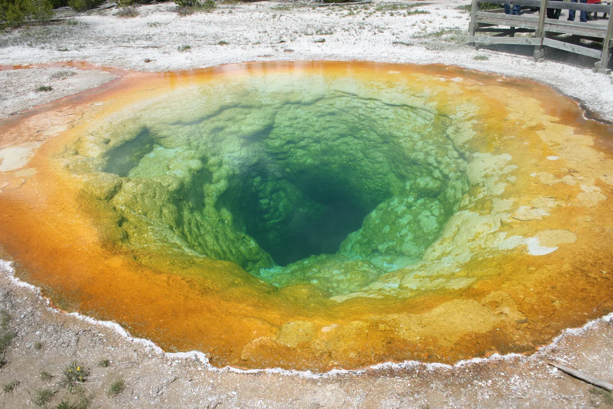 投稿写真：イエローストーン国立公園