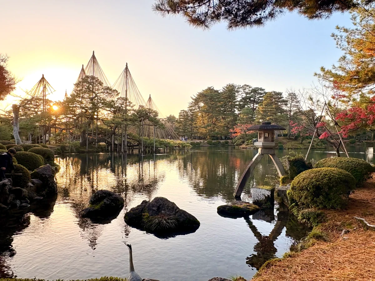 投稿写真：晩秋、早朝の兼六園