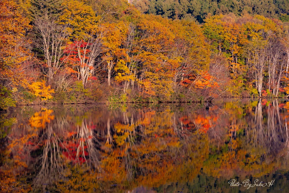 投稿写真：水鏡