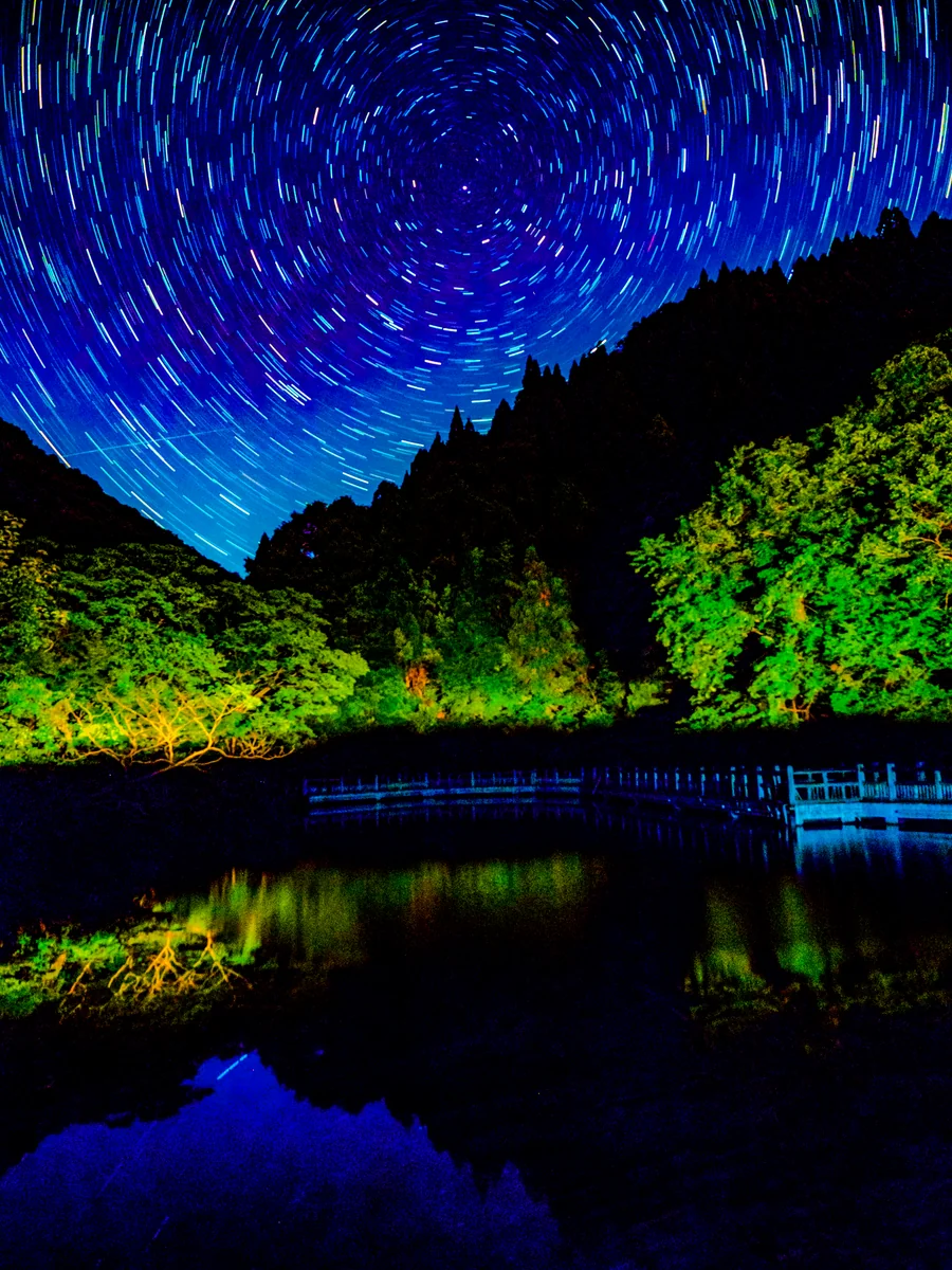 投稿写真：星巡る初夏のもみじ池