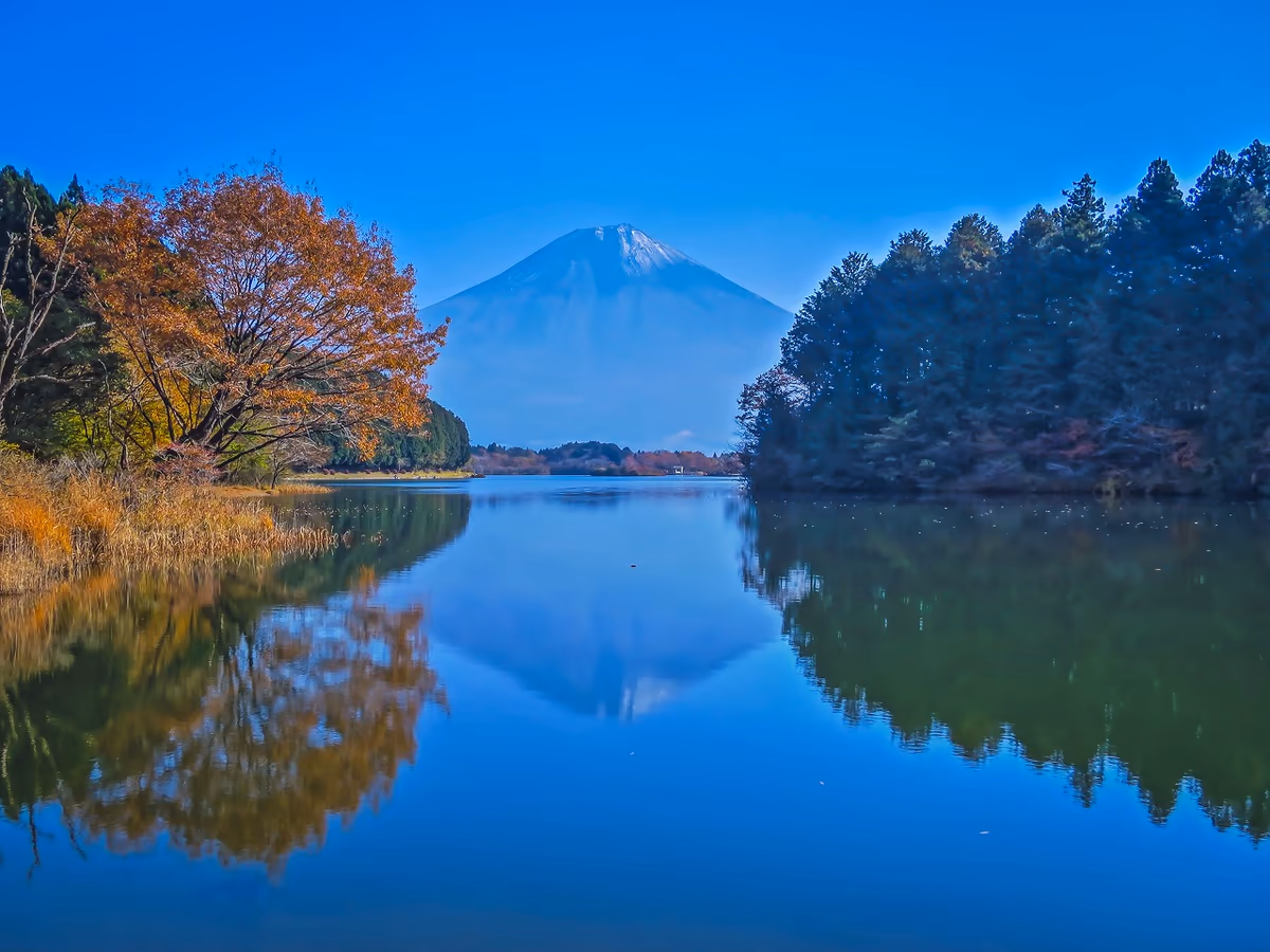 投稿写真：黄葉逆さ富士