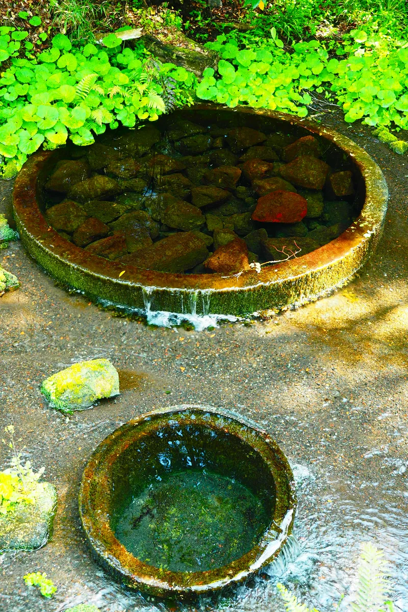 投稿写真：柿田川　水の生まれる場所