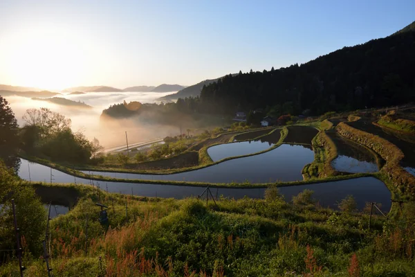 投稿：長谷（ながたに）の棚田