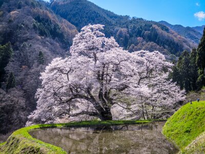  | 絶景事典