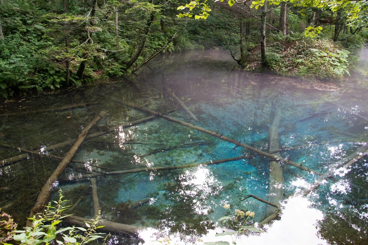 投稿写真：神秘なる色彩