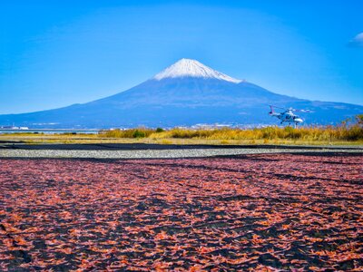  | 絶景事典