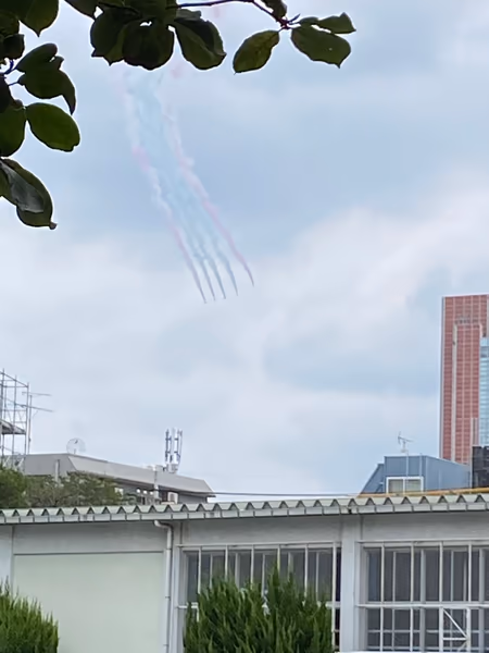 投稿：ブルーインパルス
