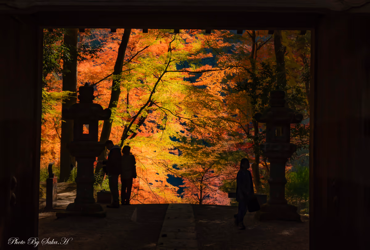 投稿写真：秋を望む