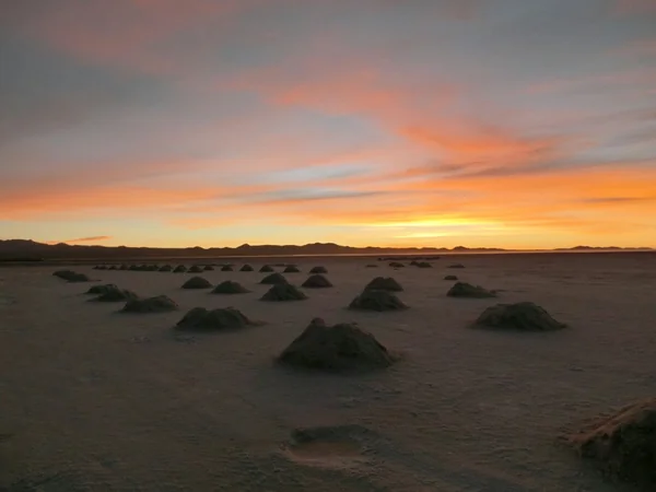 投稿：夜が明けていく瞬間