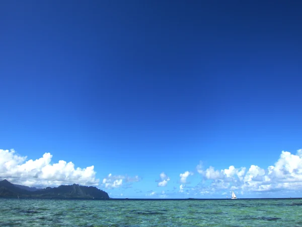 投稿：ハワイ・サンドバーからの海