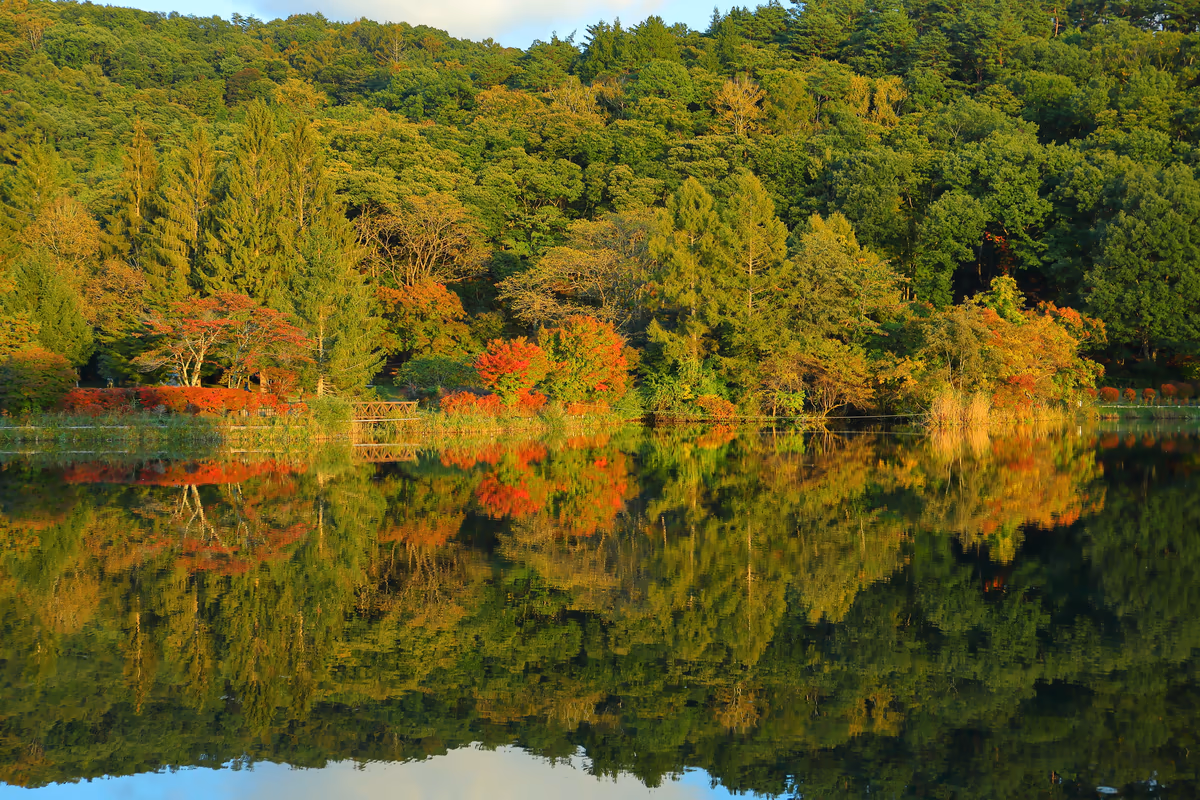 投稿写真：色づき始めの蓼科湖