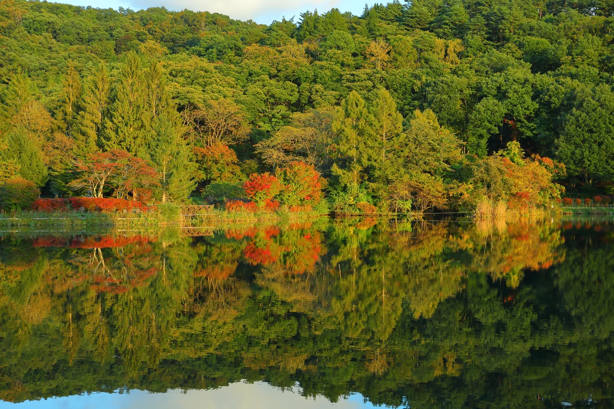 投稿写真：色づき始めの蓼科湖