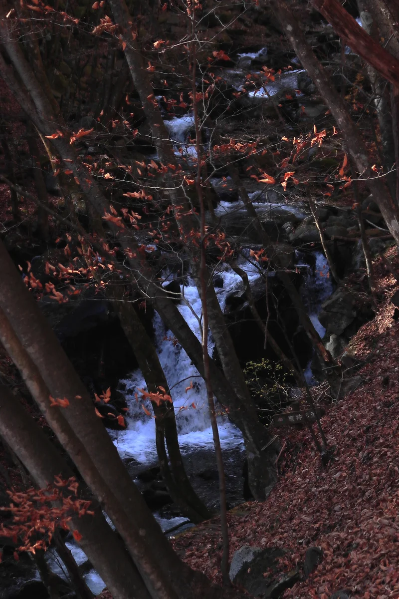 投稿写真：竜神の滝