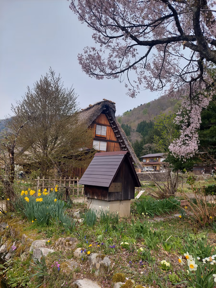 投稿写真：春の白川郷