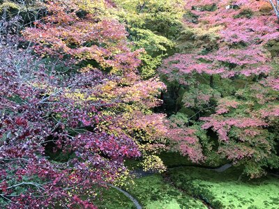  | 絶景事典