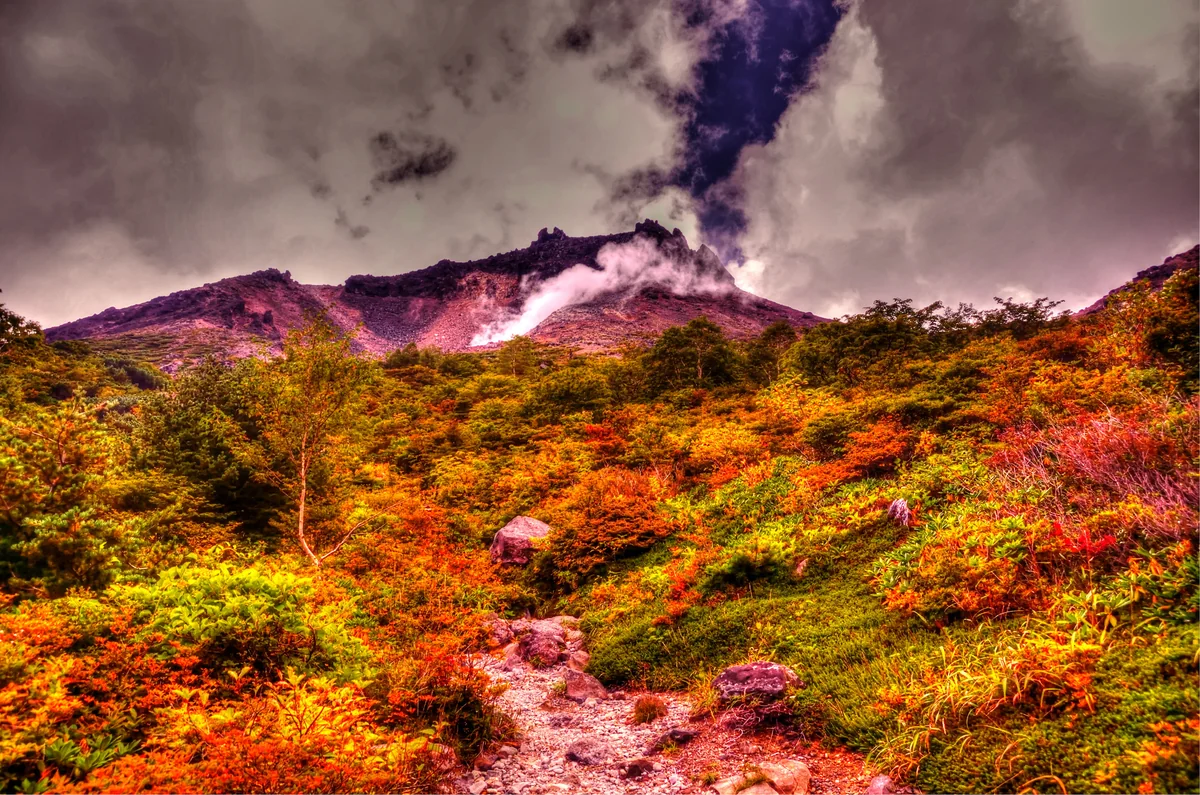 投稿写真：那須　秋のカケラ