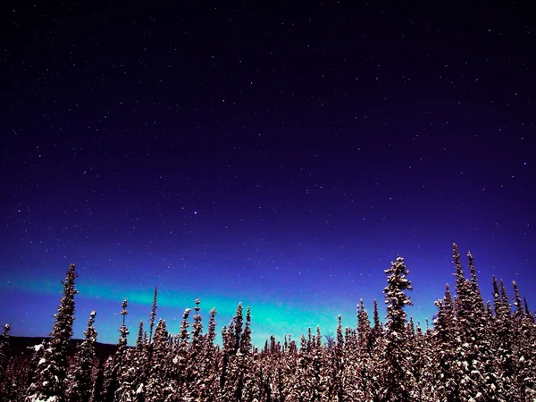 投稿：樹氷とオーロラ