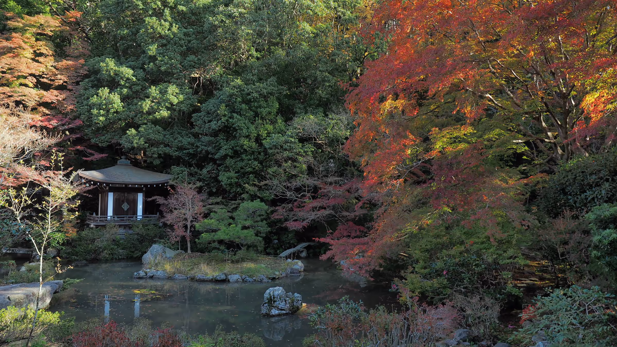 投稿写真：毘沙門堂　紅葉