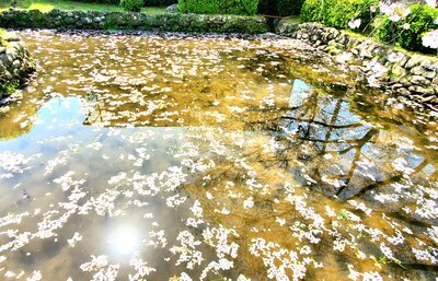  | 絶景事典