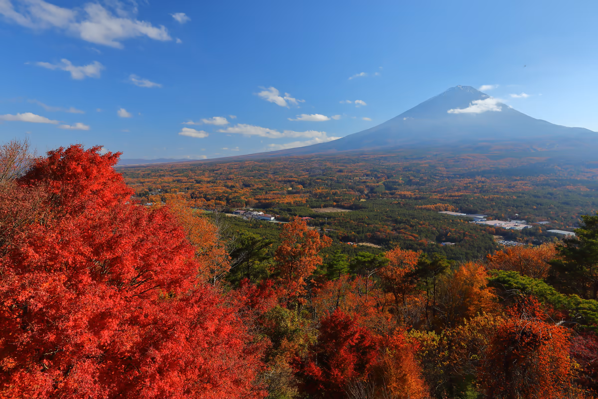 投稿写真：紅葉台から富士山のパノラマ
