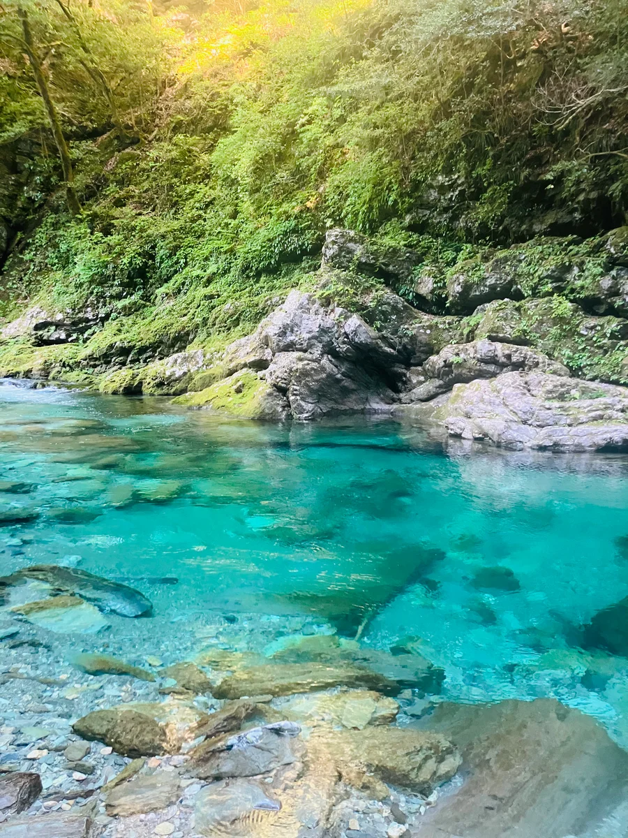 投稿写真：安居渓谷