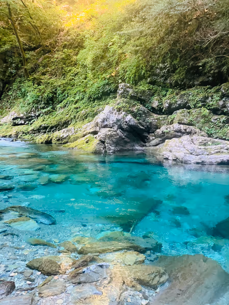 投稿：安居渓谷