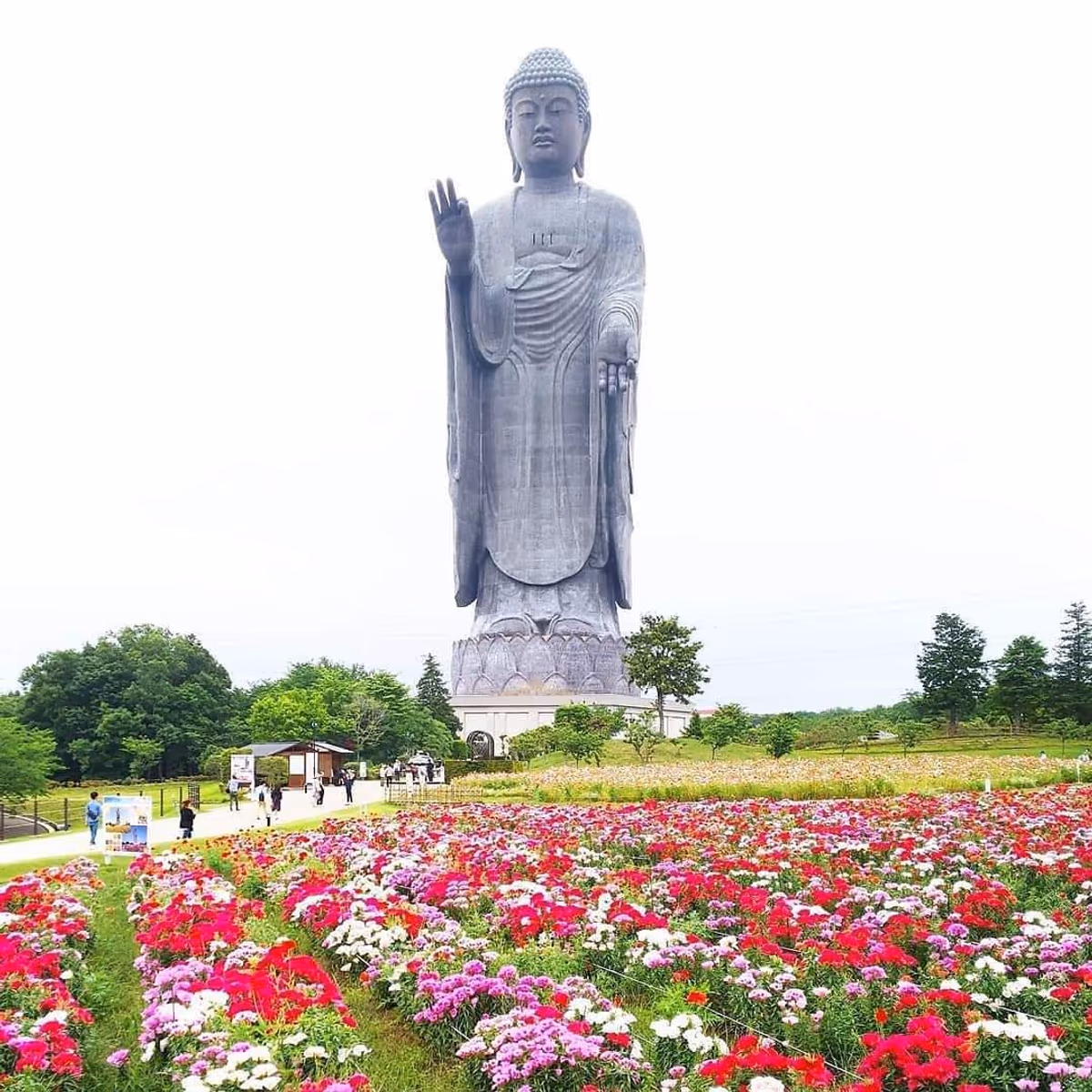 投稿写真：牛久大仏
