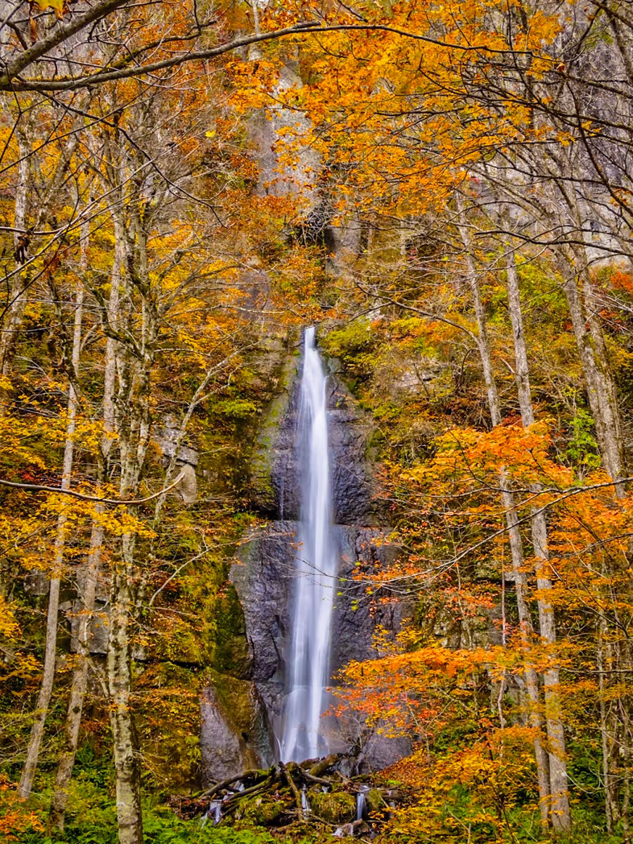 投稿写真：紅葉の白布の滝