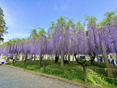  | 絶景事典