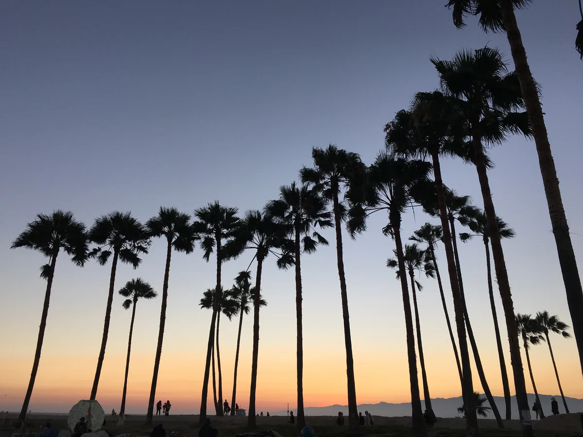 投稿写真：ベニスビーチ