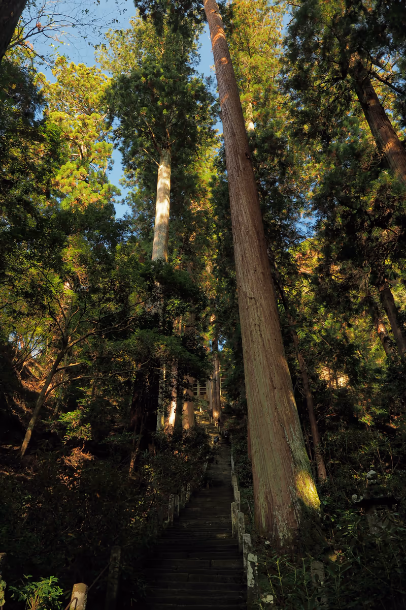 投稿写真：室生寺　奥之院　石段