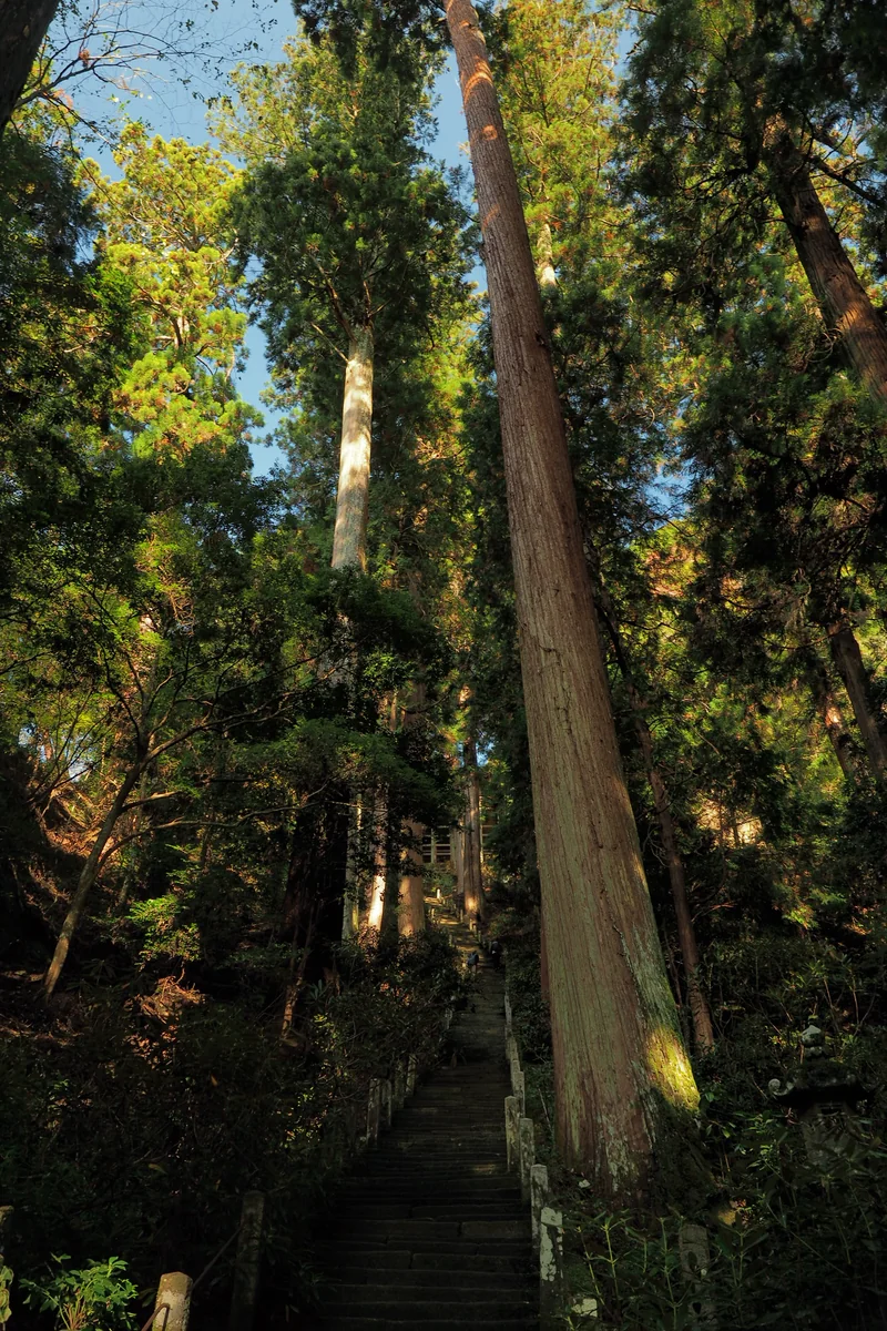 投稿写真：室生寺　奥之院　石段