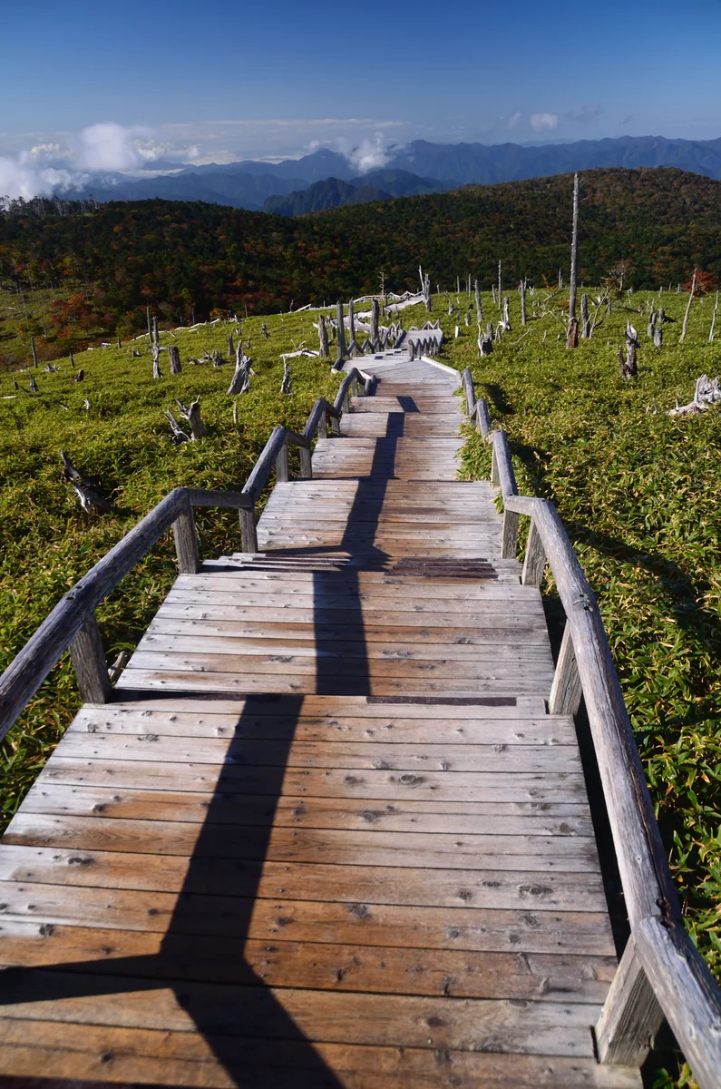 投稿写真：天空の木道