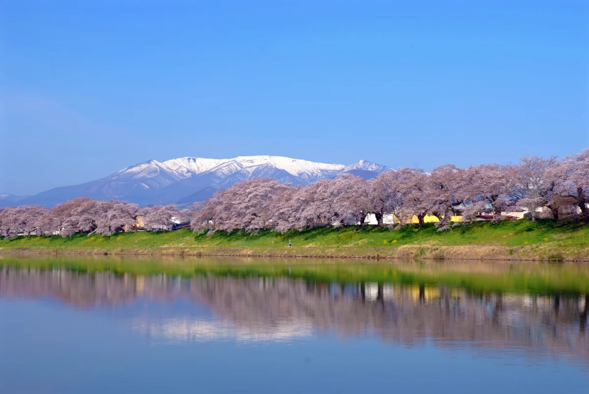 投稿写真：妻に届け