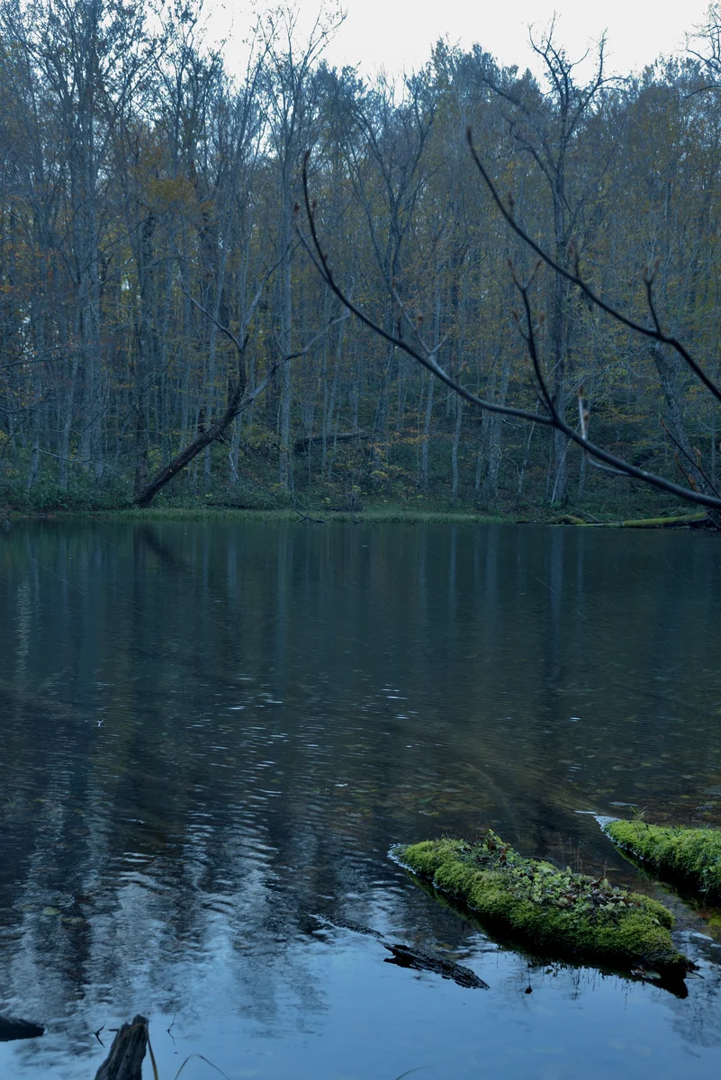 投稿写真：時の止まり