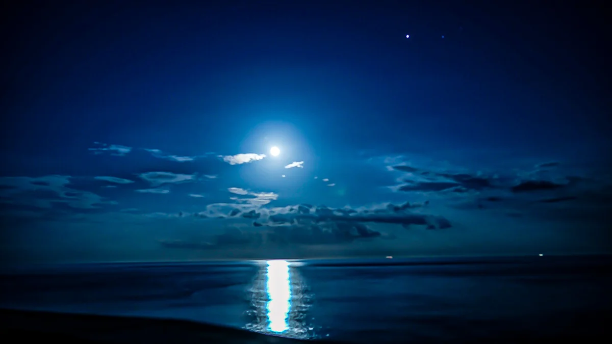 投稿写真：月明かり