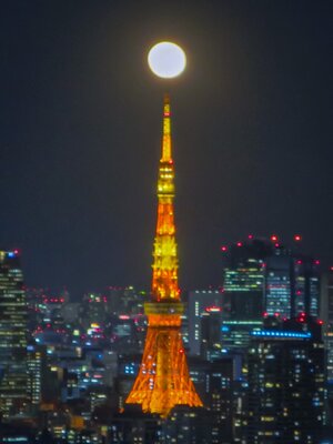  | 絶景事典