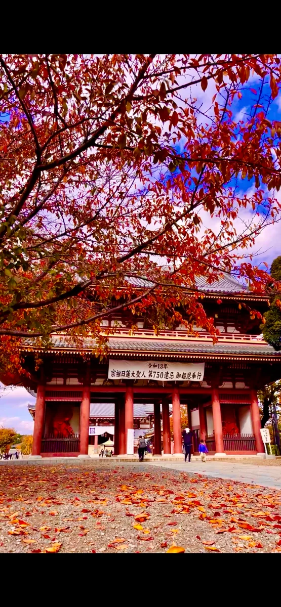 投稿写真：秋の絶景