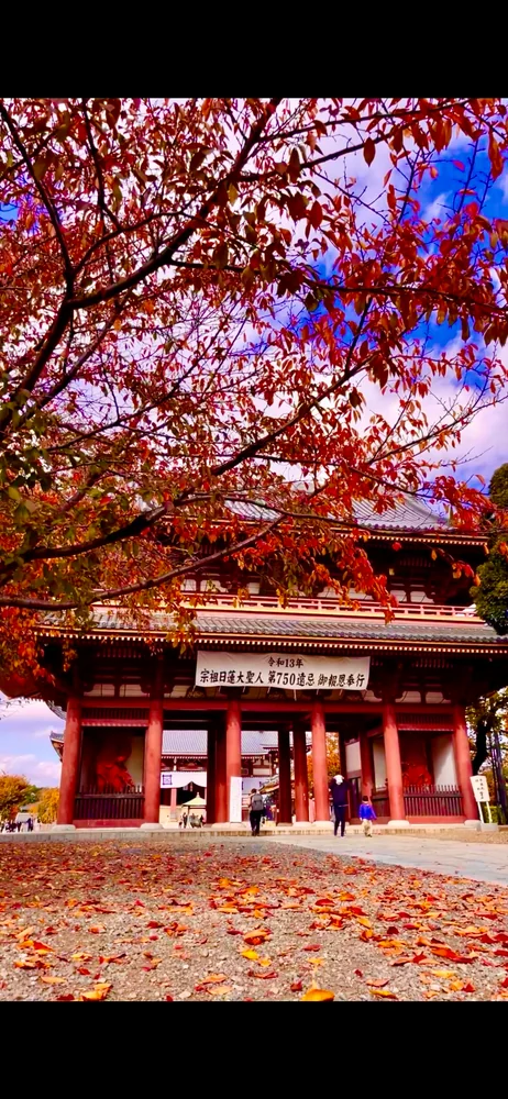 投稿写真：秋の絶景