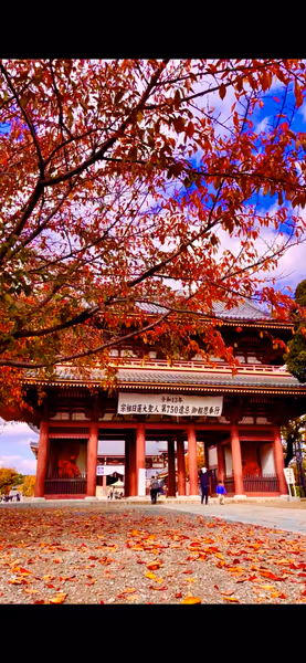 投稿：秋の絶景