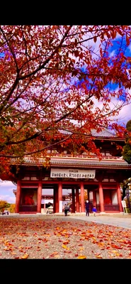 投稿：秋の絶景