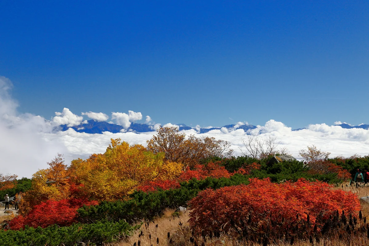 投稿写真：雲上の世界