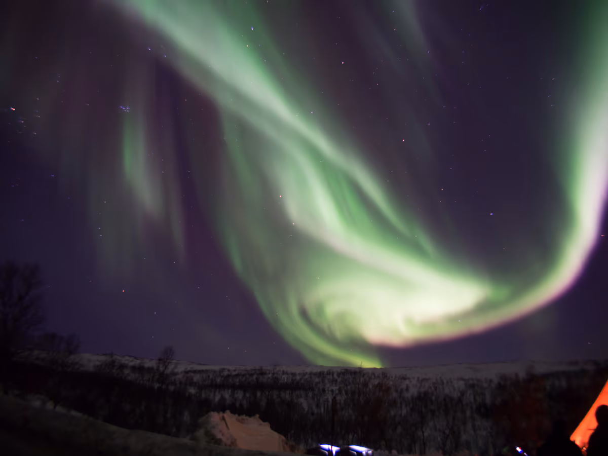 投稿写真：夜空に羽ばたく光