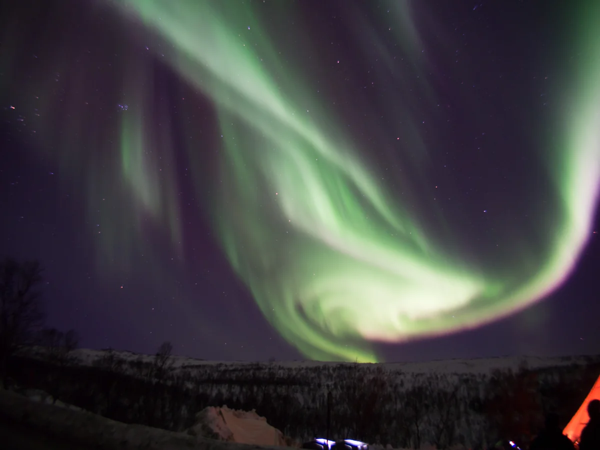 投稿写真：夜空に羽ばたく光