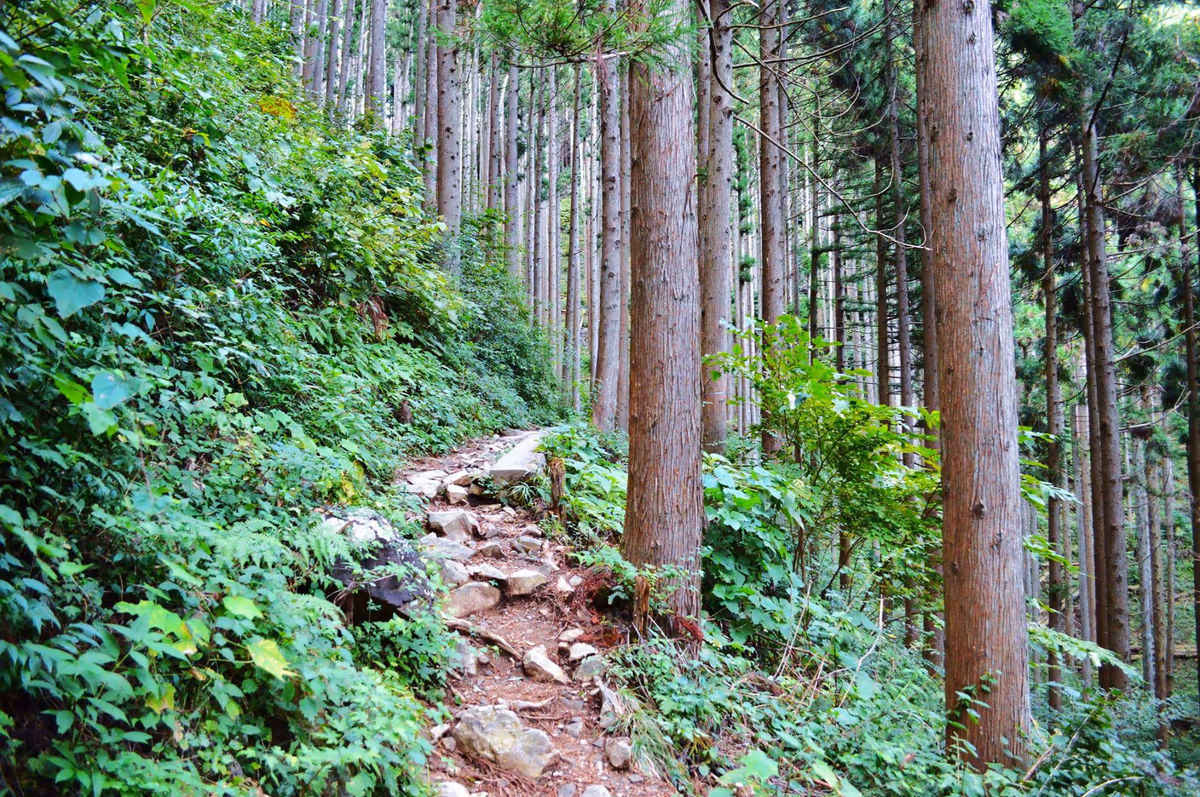 投稿写真：御岳山