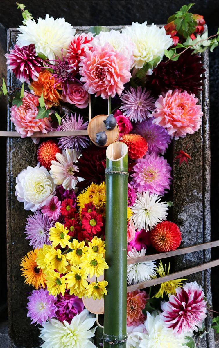 投稿写真：勝林寺