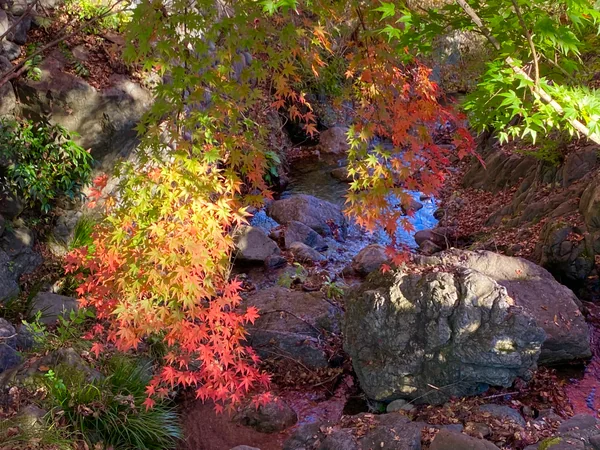 投稿：虹色の秋